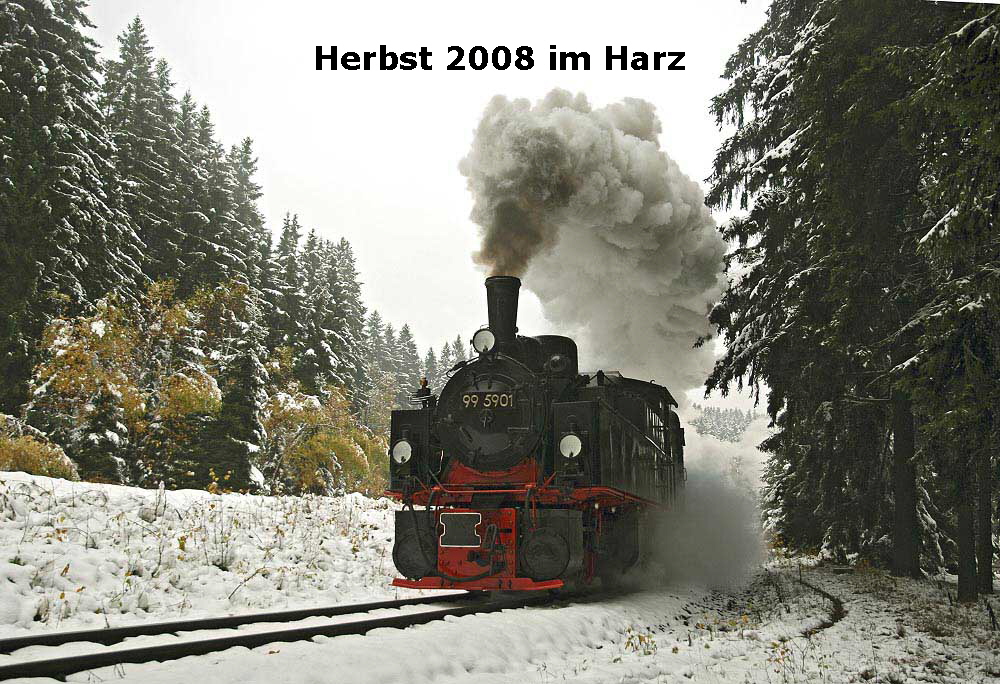 Herbst 2008 im Harz